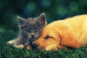 开云 官网 入口-“龙泉驿区东安湖赛场：全新运动项目迎接全球观众”