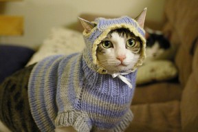 开云体育登录网站入口-“沙滩手球激战正酣，天府新区迎来激情四溢”