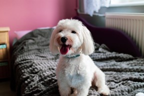 开云官网入口-CBA设立主场最佳球迷奖项激励观众参与热情，cba主场怎么安排的