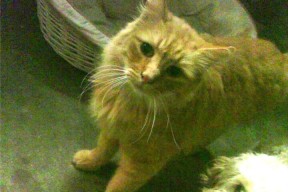 开云体育登录网站入口-CBA裁判判罚更精准 球迷认可度提升，cba裁判是怎么安排的