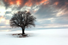 开云体育官网下载安装-广东队利用暂停时间精准调整战术，广东队下场比赛时间